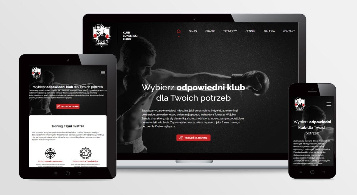 Strona internetowa klub bokserski Teddy