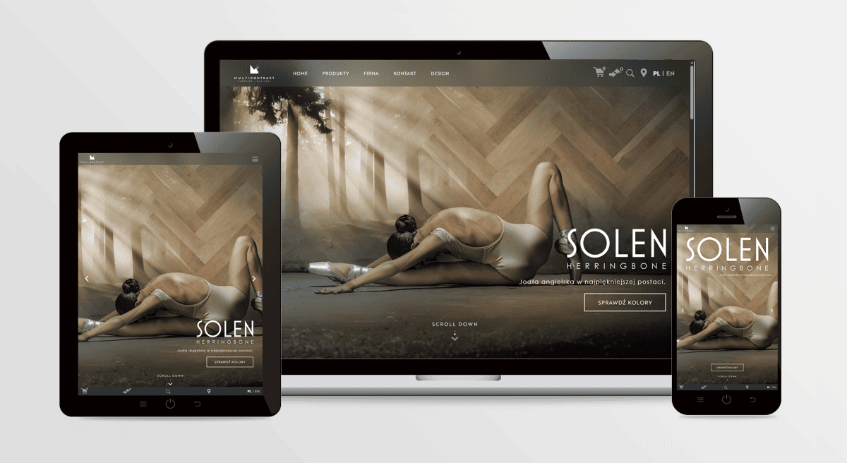 Strona internetowa MultiContract