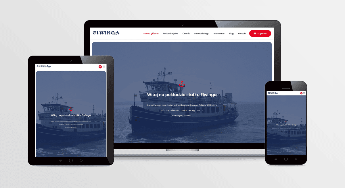 Strona internetowa ELWINGA